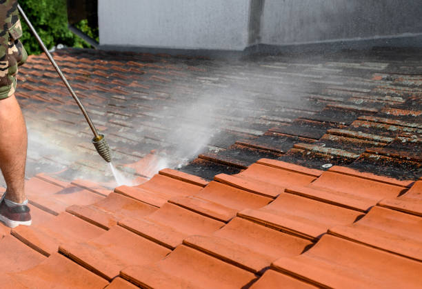 Best Affordable Power Washing  in Borden, IN
