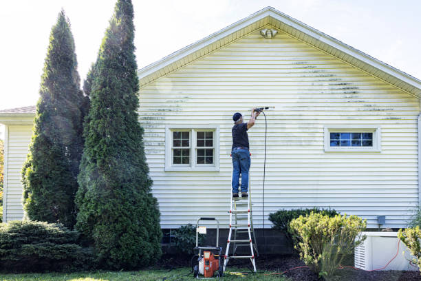 Best Residential Pressure Washing Services  in Borden, IN